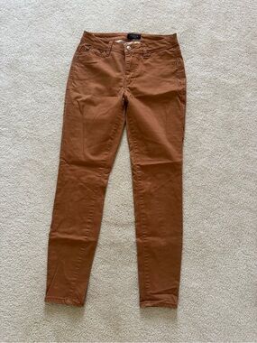 Cropped High-Rise Skinny Pants in Rust